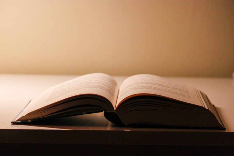 Book Read Books Literature  - ilm911 / Pixabay